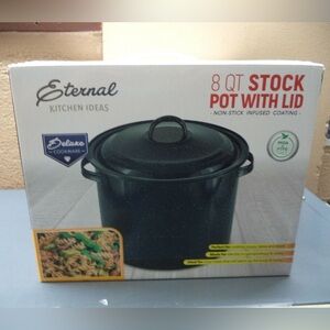 Eternal 8 quart stock pot
